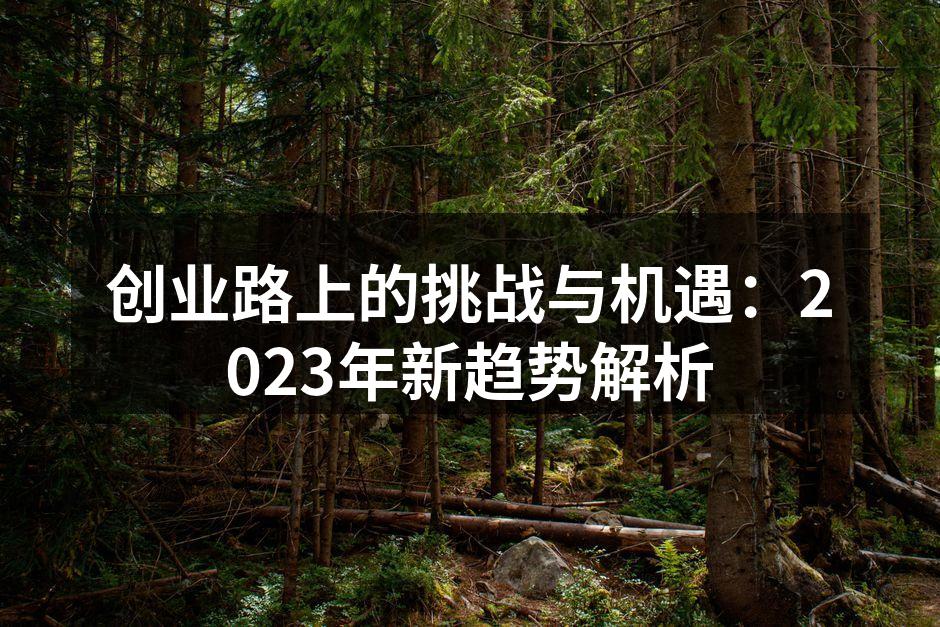 创业路上的挑战与机遇：2023年新趋势解